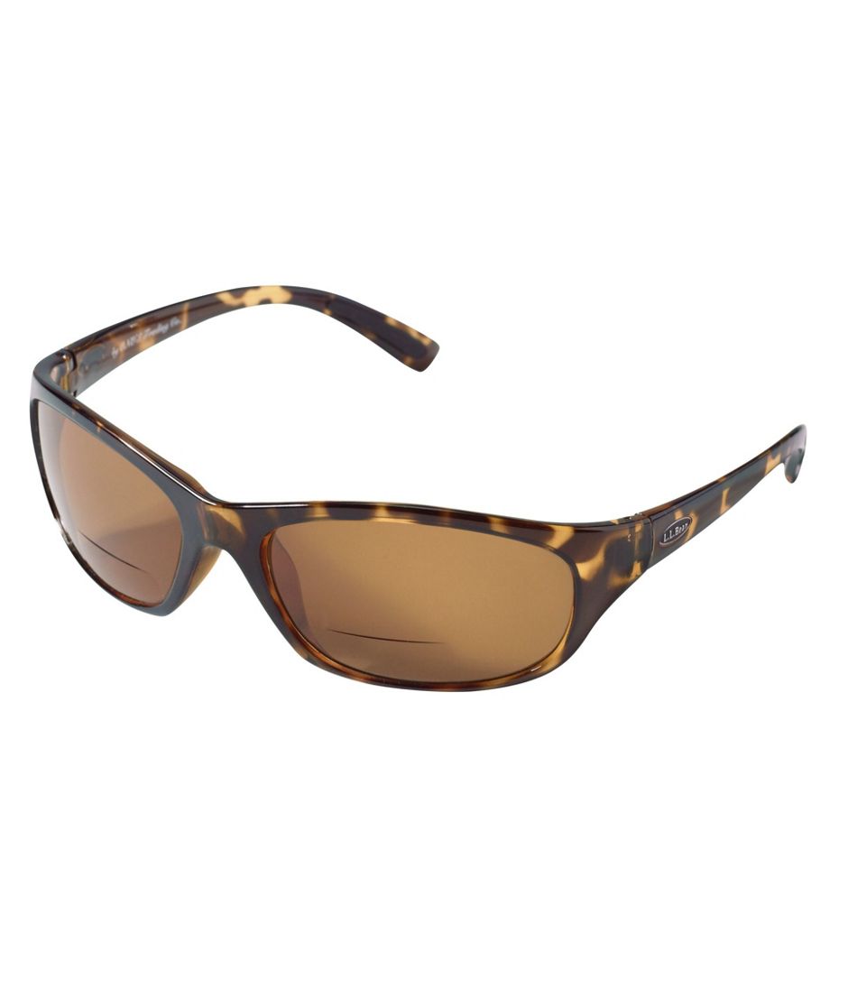 Polarized Performance Bifocals, Large | L.L.Bean