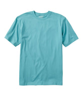 Men's Carefree Unshrinkable Tee, Traditional Fit Short-Sleeve | L.L.Bean