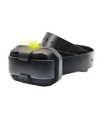 Dogtra 280-X Remote Dog Training Collar | L.L.Bean