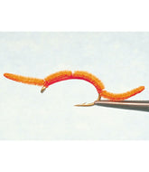 San Juan Worm, 2-Pack | L.L.Bean