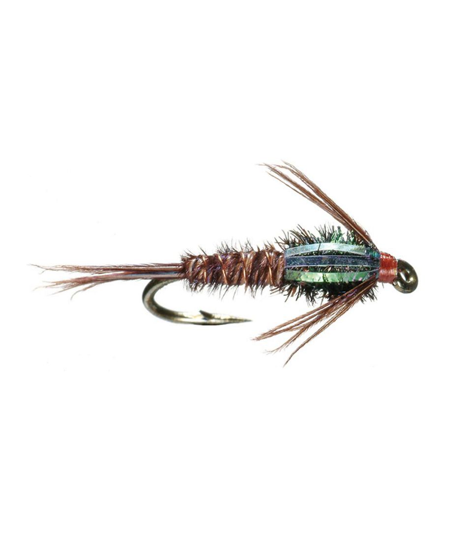 Flashback Pheasant Tail, 2-Pack | L.L.Bean