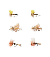 Umpqua Six-Piece Pocket Water Dry Fly Selection | L.L.Bean