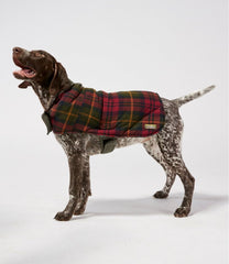 Reversible Field Coat for Dogs | L.L.Bean