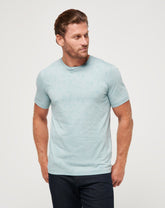 Arona Travis Mathew