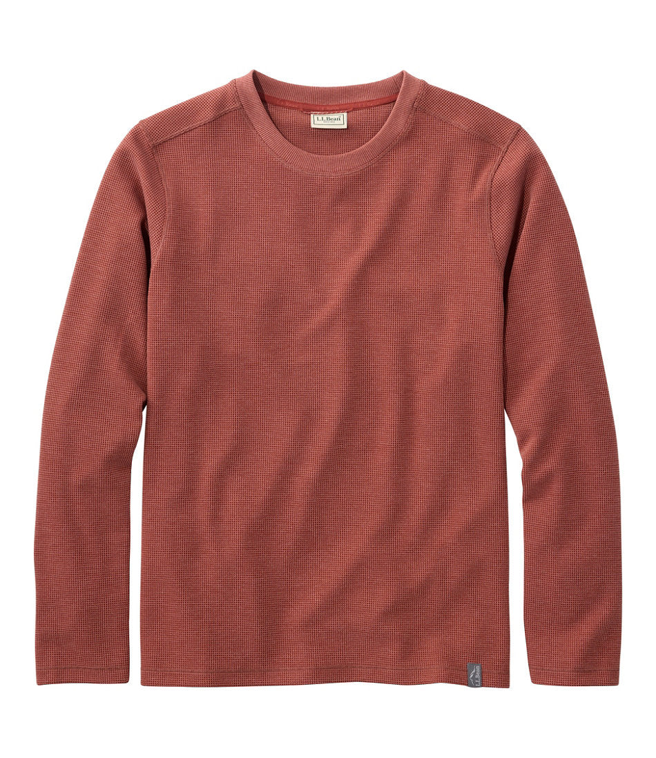 Red Chestnut,Small