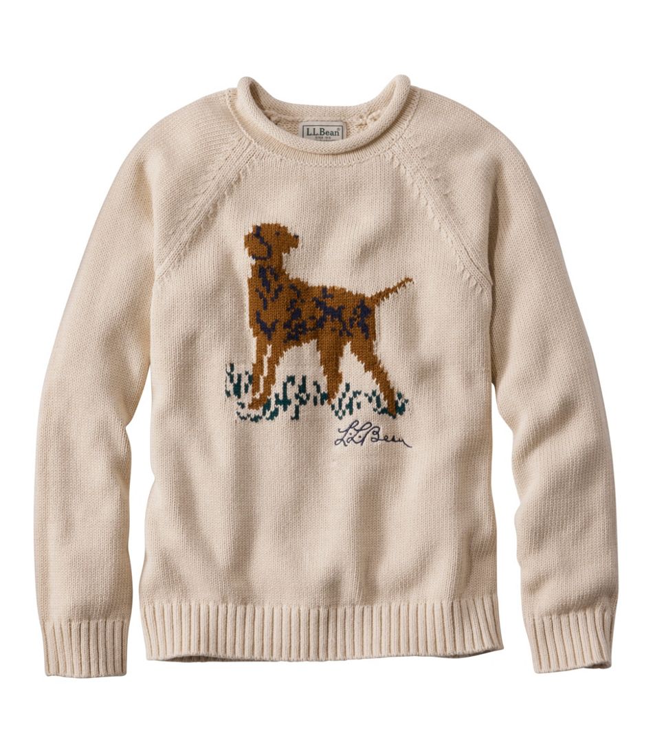 Kids' Cotton Rollneck Sweater | L.L.Bean
