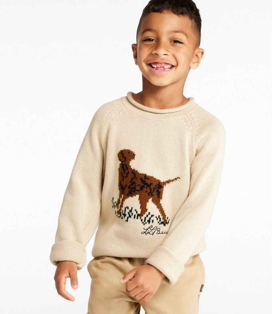 Kids' Cotton Rollneck Sweater | L.L.Bean