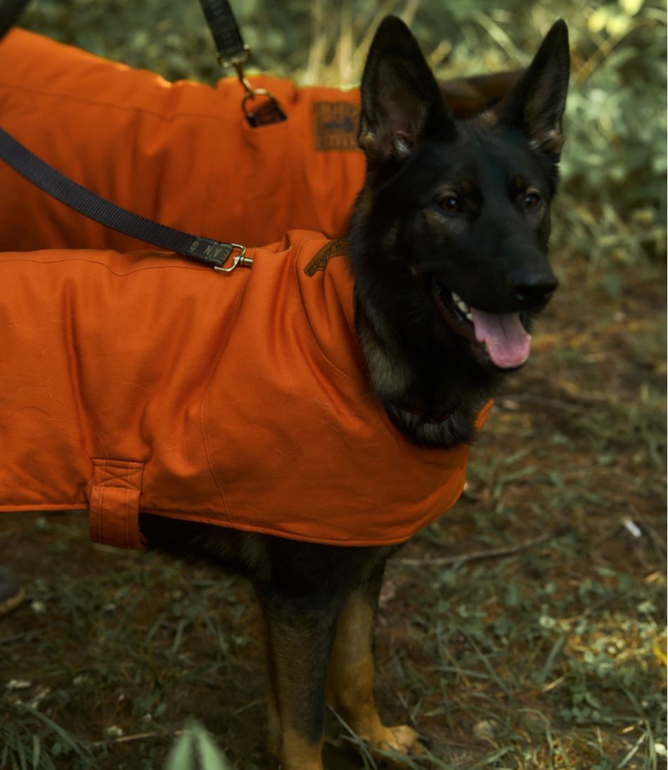 & Noah Kahan Reversible Field Coat for Dogs | L.L.Bean