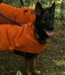 & Noah Kahan Reversible Field Coat for Dogs | L.L.Bean
