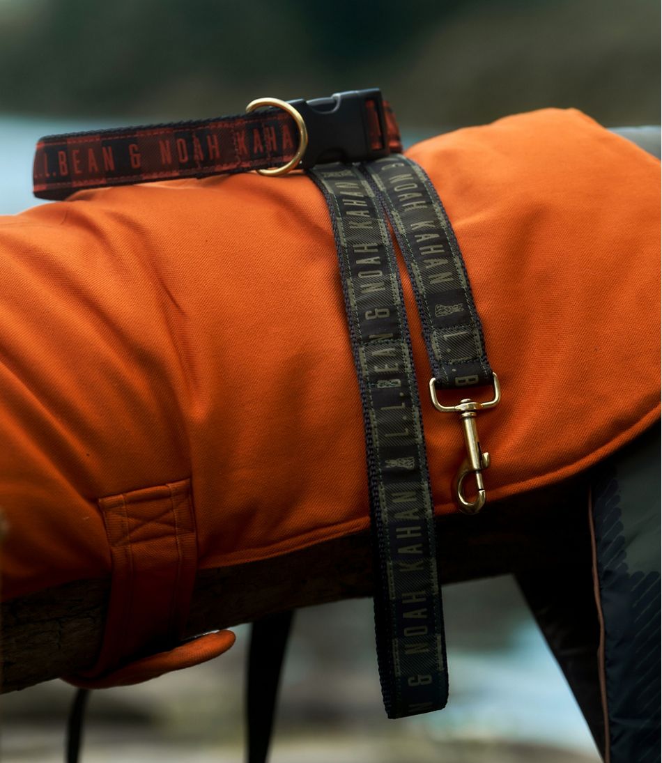 & Noah Kahan Novelty Dog Leash | L.L.Bean