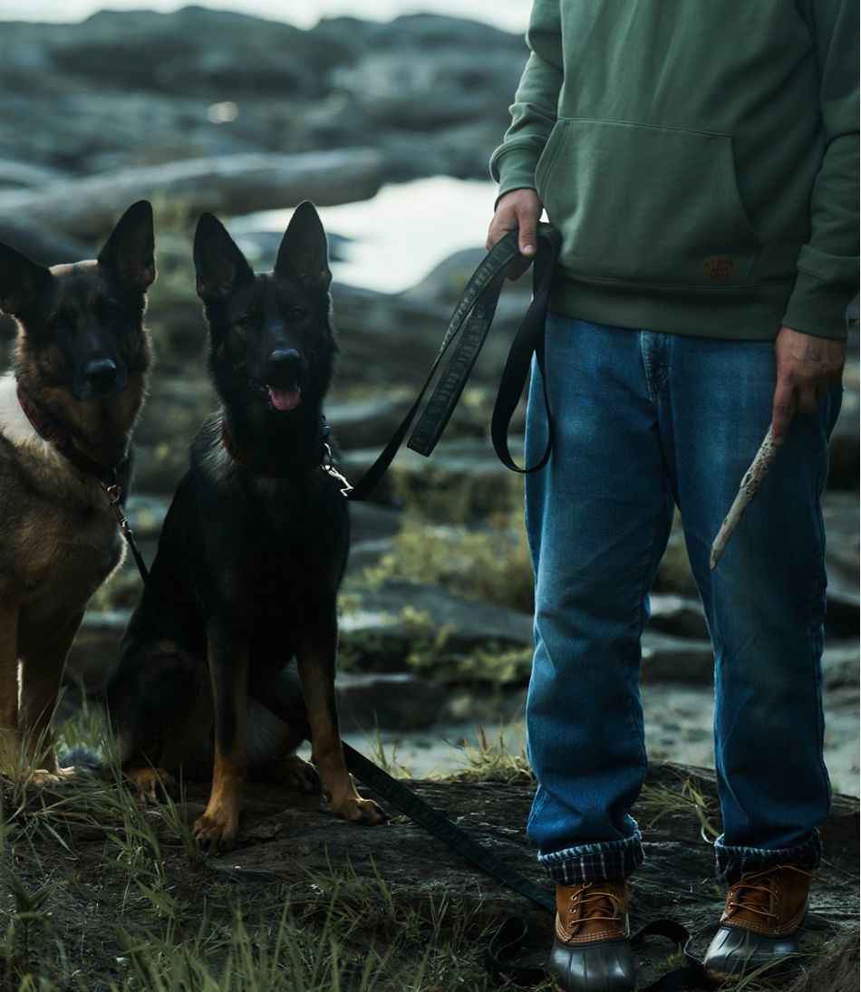& Noah Kahan Novelty Dog Leash | L.L.Bean