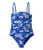 French Blue Daisy