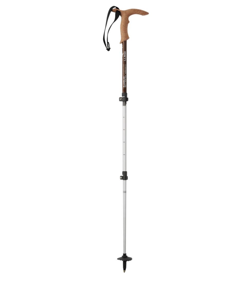 Rambler PowerLock 2.1 Hiking Staff | L.L.Bean