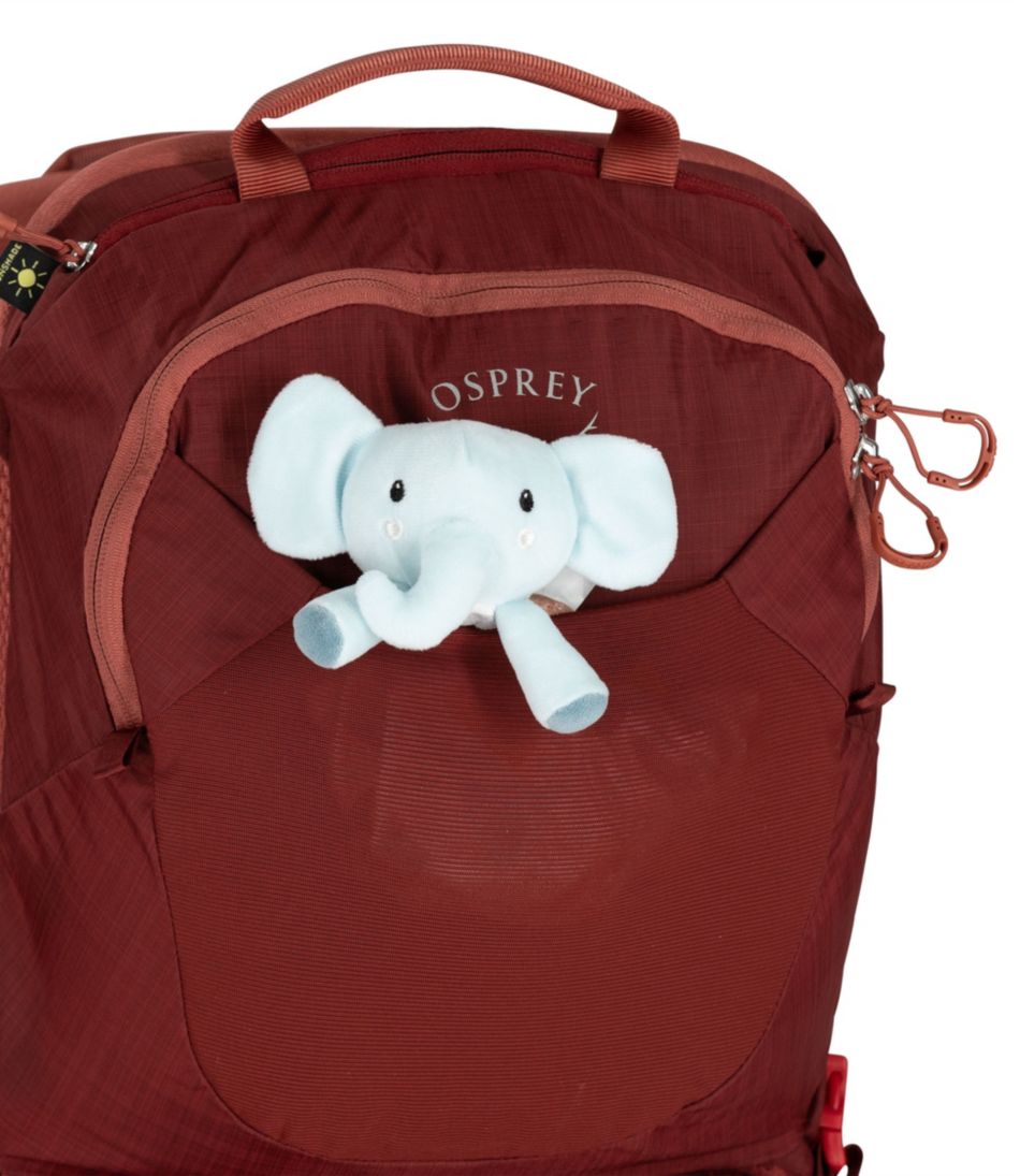 Osprey Poco LT Child Carrier Backpack | L.L.Bean