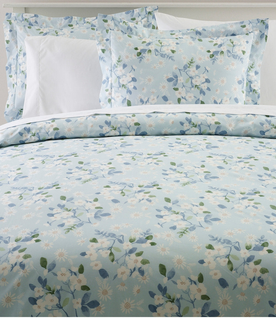 Light Blue,OS