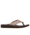 Taupe Shell