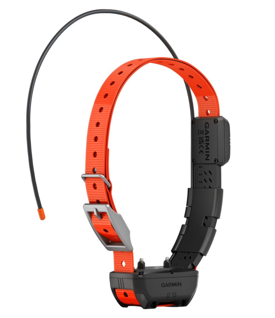 Garmin Alpha TT25 Dog Collar | L.L.Bean