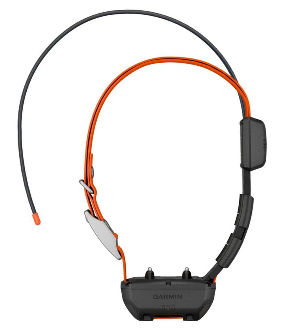 Garmin Alpha TT25 Dog Collar | L.L.Bean