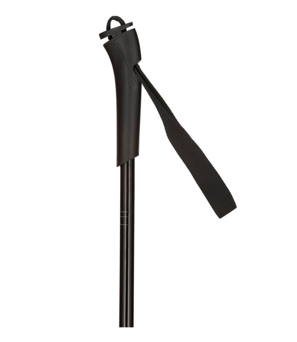 Rossignol FT500 Cross-Country Touring Ski Poles | L.L.Bean