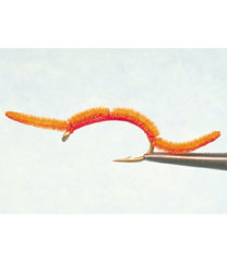 San Juan Worm, 2-Pack | L.L.Bean