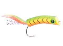 Shad,2