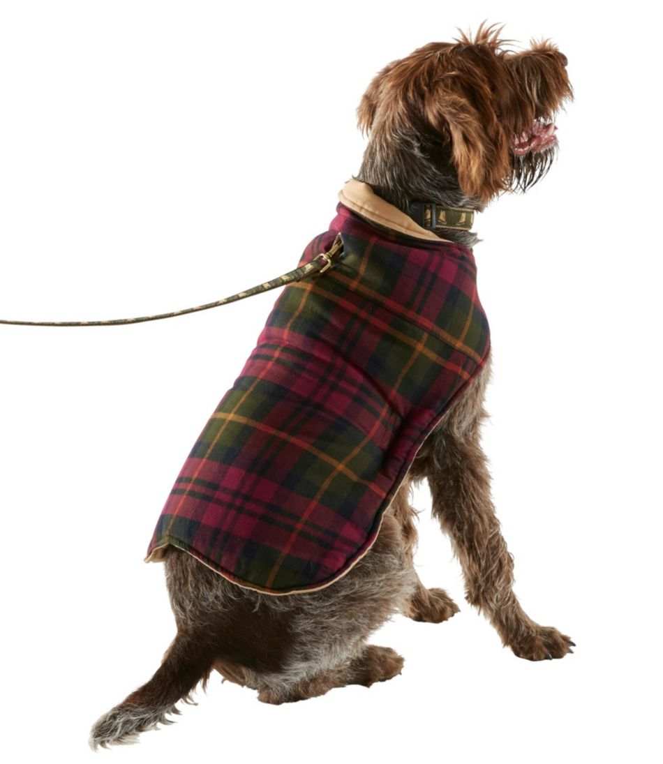 Reversible Field Coat for Dogs | L.L.Bean