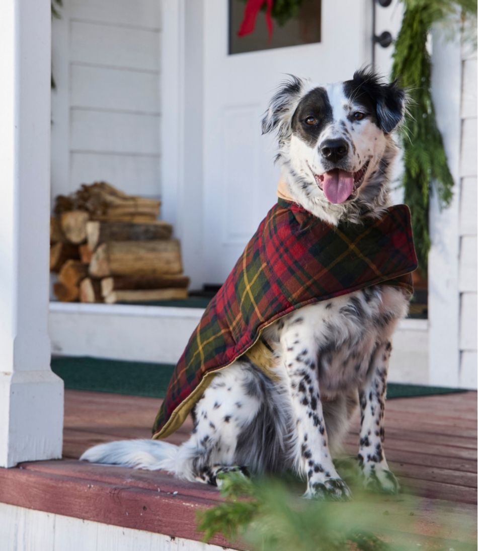 Reversible Field Coat for Dogs | L.L.Bean