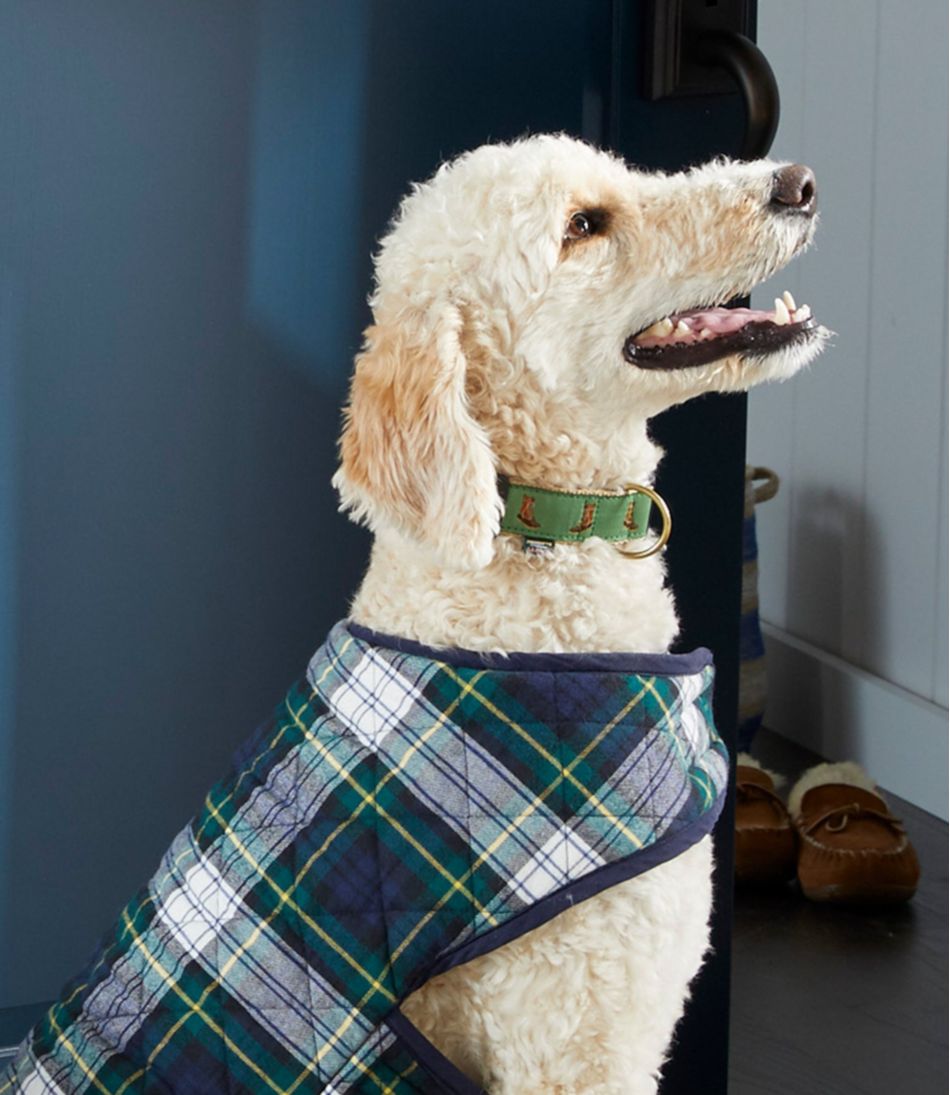 Novelty Dog Collar | L.L.Bean
