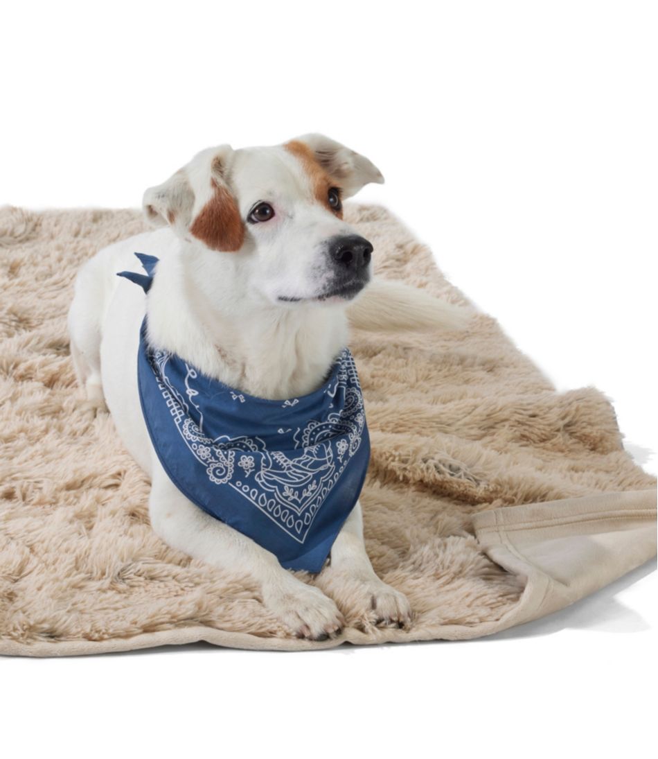 Plush Cuddler Dog Blanket | L.L.Bean
