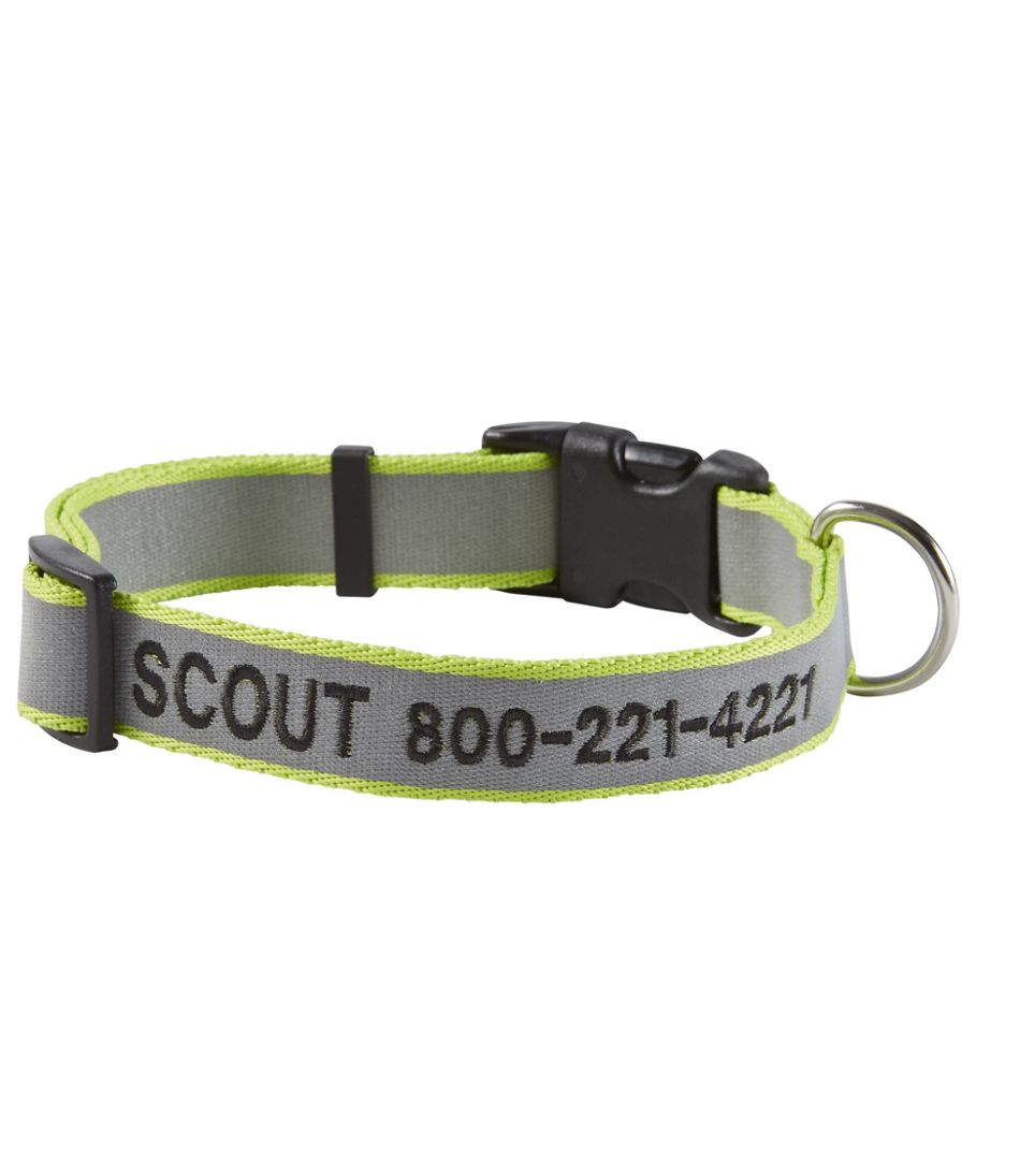 Personalized Pet Collar, Reflective | L.L.Bean