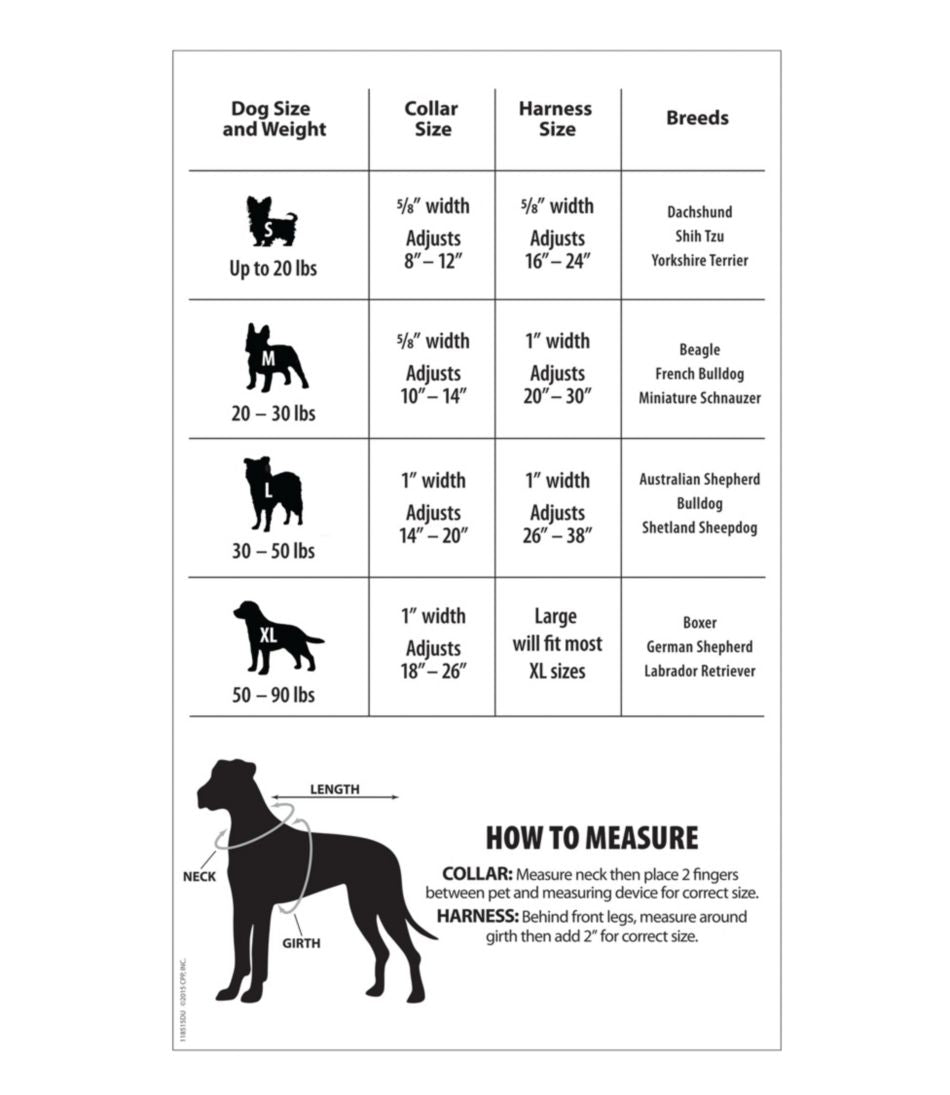 Personalized Pet Collar, Reflective | L.L.Bean