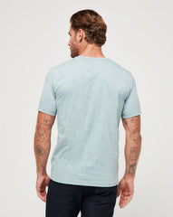 Arona Travis Mathew