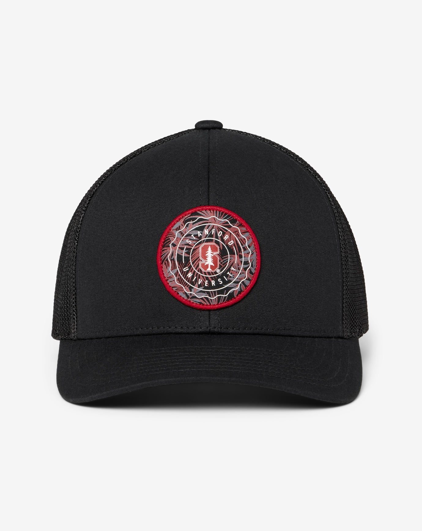 Black Travis Mathew