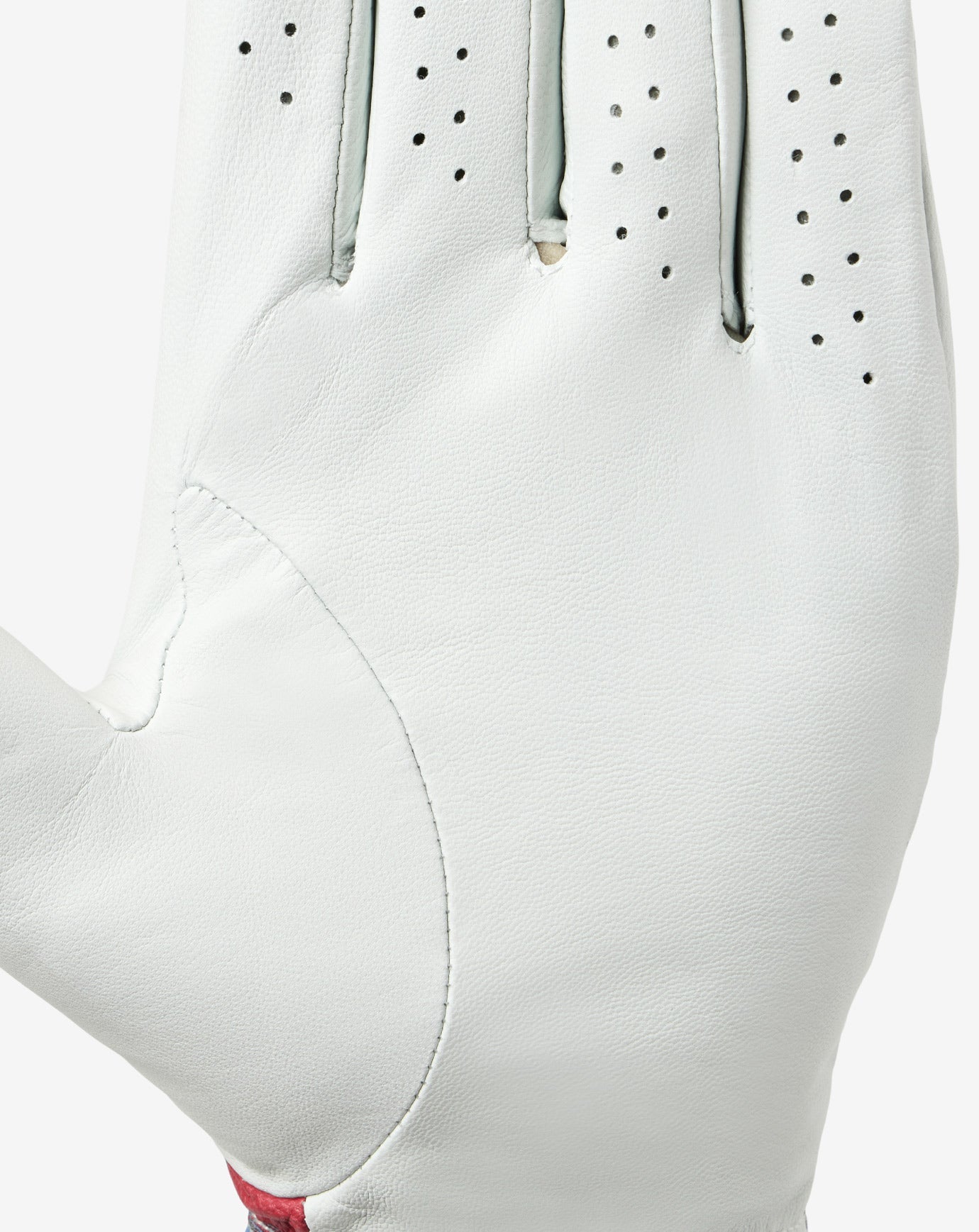 White Travis Mathew