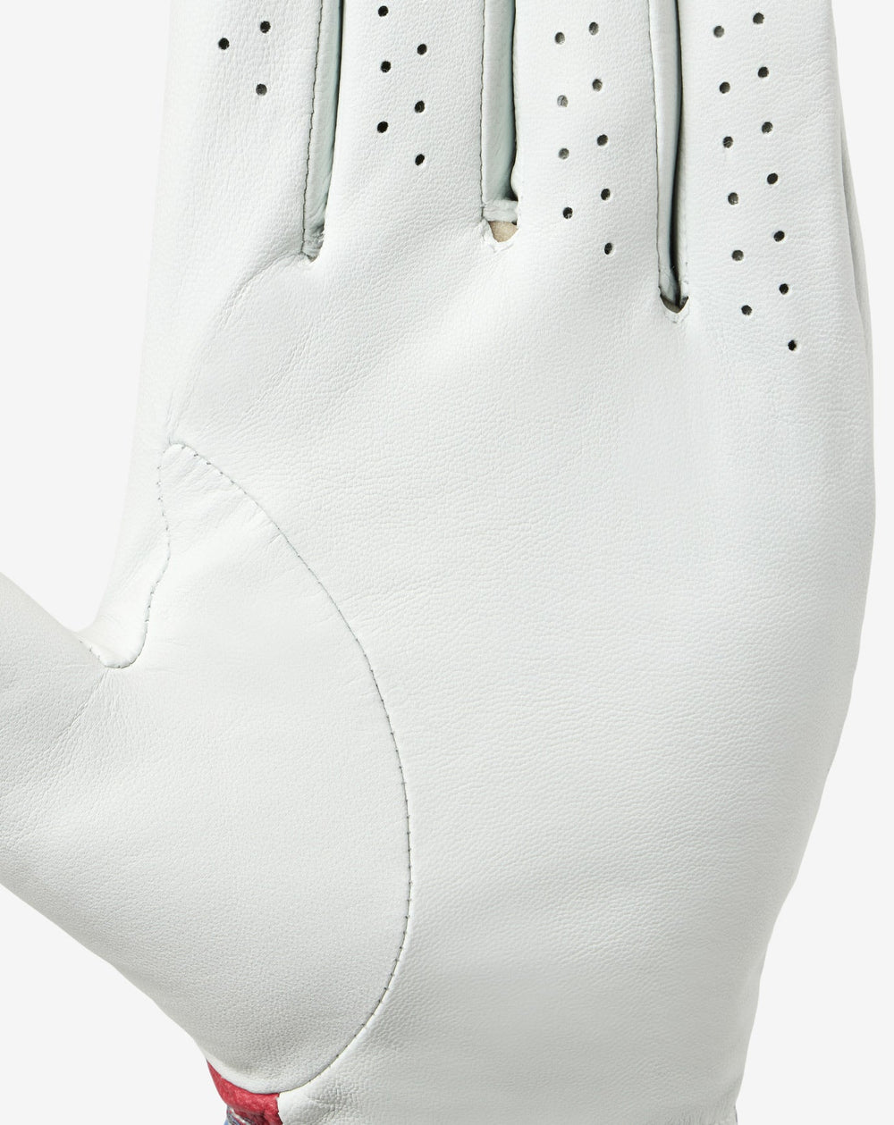White Travis Mathew