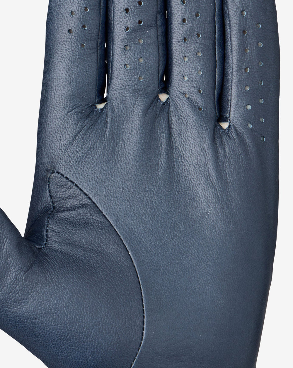Total Eclipse/Cameo Travis Mathew